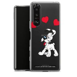 Carry Case Hülle Transparent ohne Band