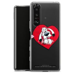 Carry Case Hülle Transparent ohne Band