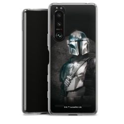 Carry Case Hülle Transparent ohne Band