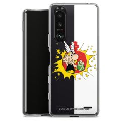 Carry Case Hülle Transparent ohne Band