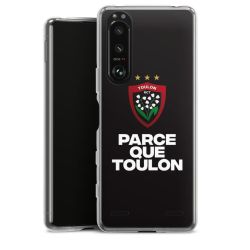 Carry Case Hülle Transparent ohne Band