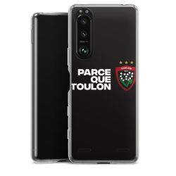 Carry Case Hülle Transparent ohne Band