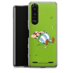 Carry Case Hülle Transparent ohne Band