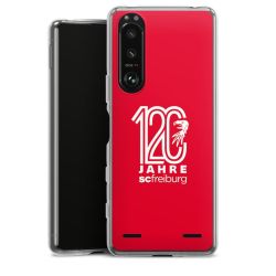 Carry Case Hülle Transparent ohne Band