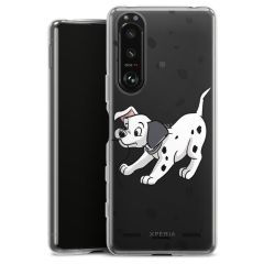 Carry Case Single Transparent