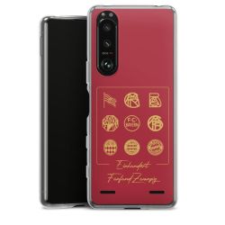 New Carry Case Hülle Transparent