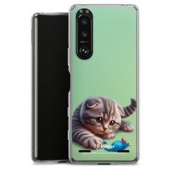 Carry Case Single Transparent