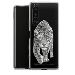 Carry Case Single Transparent