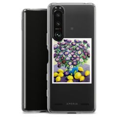 New Carry Case Hülle Transparent