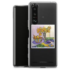 New Carry Case Hülle Transparent