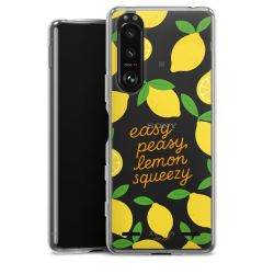 Carry Case Single Transparent