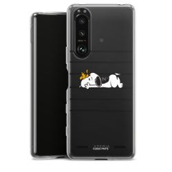 Carry Case Single Transparent