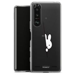 Carry Case Single Transparent