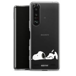 Carry Case Single Transparent