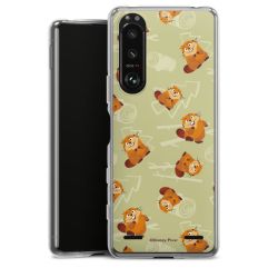 Carry Case Single Transparent