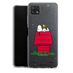 Carry Case Hülle Transparent/glitter ohne Band