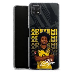 Carry Case Hülle Transparent/glitter ohne Band