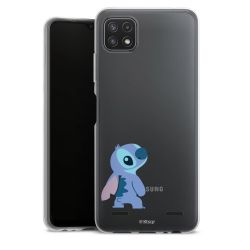 Carry Case Single Transparent