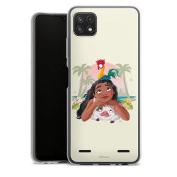 Carry Case Single Transparent