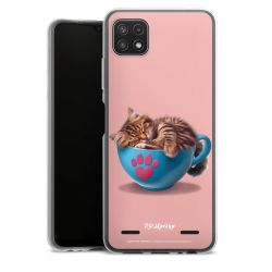 Carry Case Single Transparent