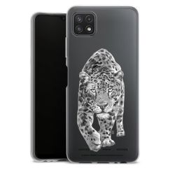 Carry Case Single Transparent