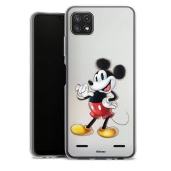 Carry Case Single Transparent