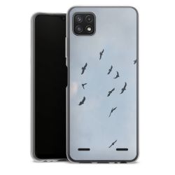 Carry Case Single Transparent