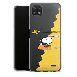 Carry Case Single Transparent