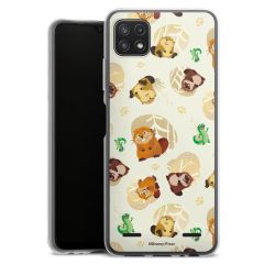 Carry Case Single Transparent