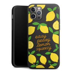 New Carry Case Hülle mattschwarz