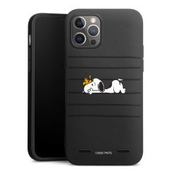 New Carry Case Hülle mattschwarz