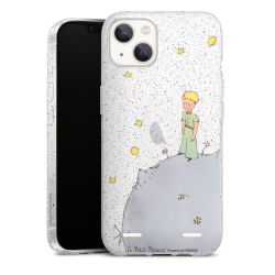 Carry Case Single Transparent/glitter