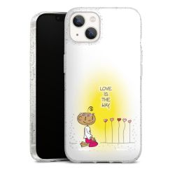 Carry Case Hülle Transparent/glitter ohne Band