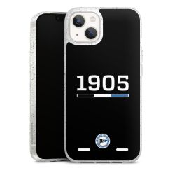 Carry Case Hülle Transparent/glitter ohne Band