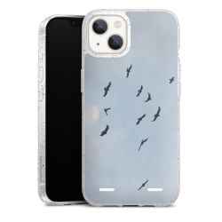 Carry Case Hülle Transparent/glitter ohne Band