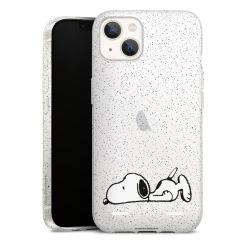 Carry Case Hülle Transparent/glitter ohne Band