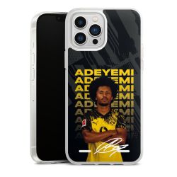 New Carry Case Hülle Transparent