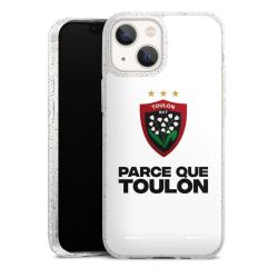 Carry Case Hülle Transparent/glitter ohne Band