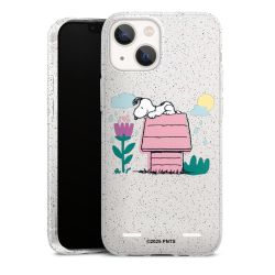 Carry Case Hülle Transparent/glitter ohne Band