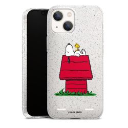 Carry Case Hülle Transparent/glitter ohne Band