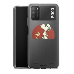 Carry Case Single Transparent