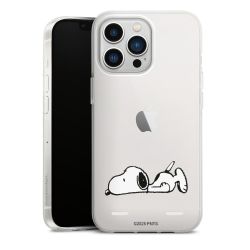 Carry Case Single Transparent