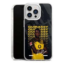 New Carry Case Hülle Transparent