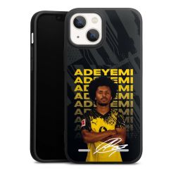 New Carry Case Hülle mattschwarz