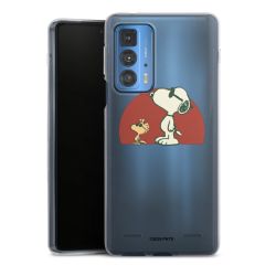 Carry Case Single Transparent