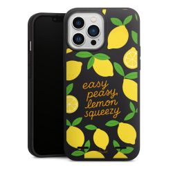 Premium Carry Case Single Matt black