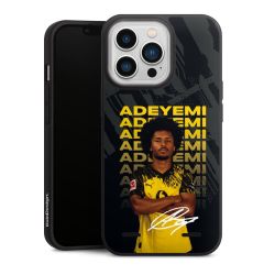 New Carry Case Hülle mattschwarz