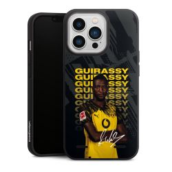 New Carry Case Hülle mattschwarz