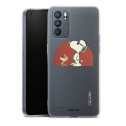 Carry Case Single Transparent
