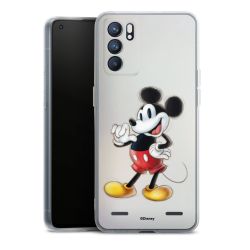 Carry Case Single Transparent